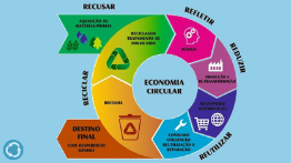 Economia e Meio Ambiente: Economia Circular