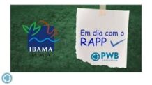 RAPP IBAMA: Saiba sobre a importância e quando deve ser entregue?